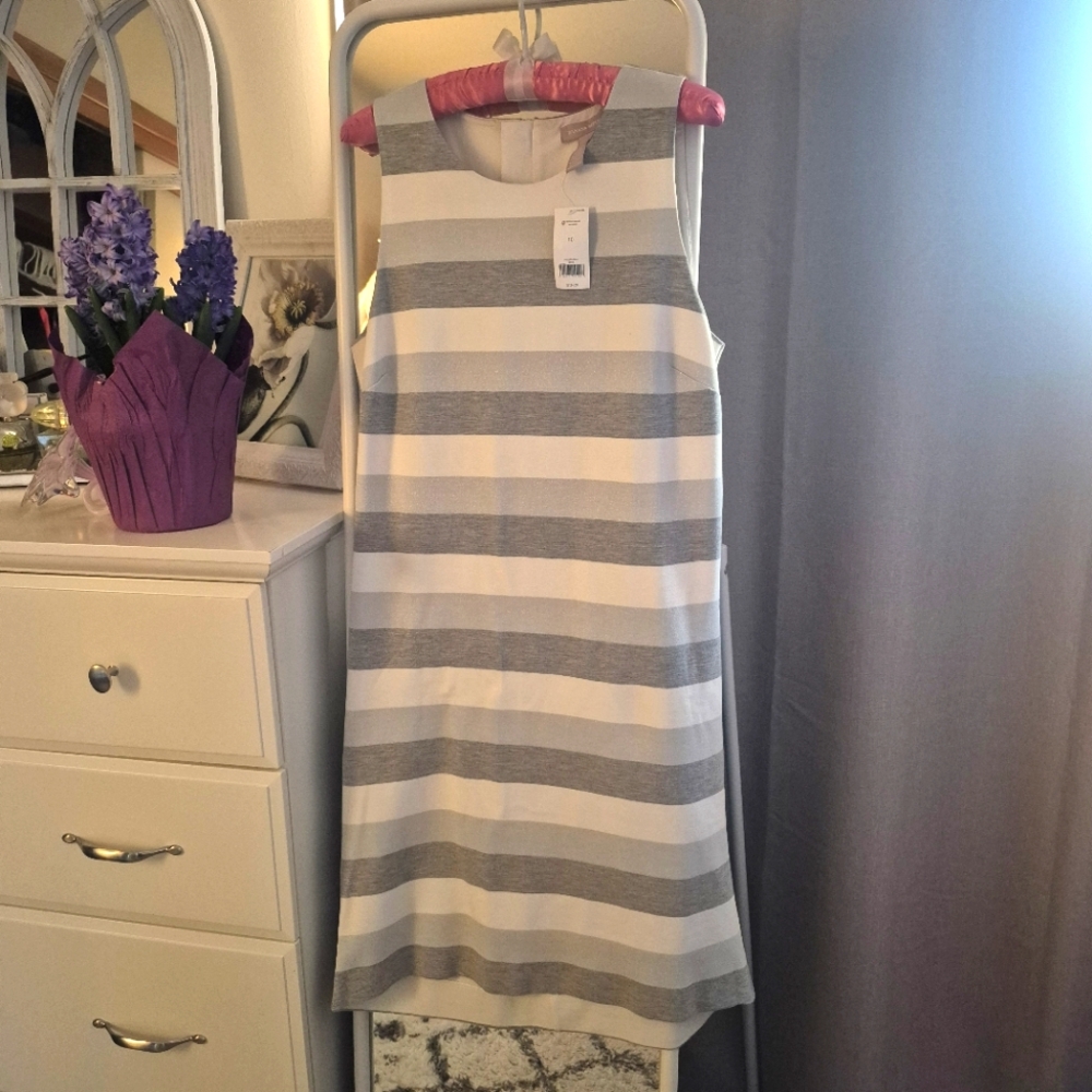Banana Republic Striped Sleeveless Dress Size 10